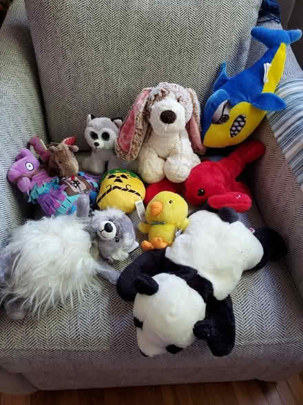 Photo of free Freshly Laundered Stuffies (Oakland) #2