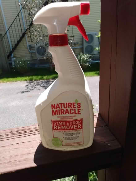 Photo of free stain and odor remover: pet owners (Cambridge, Porter Square) #1