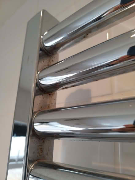 Photo of free Chrome radiator (Woodford IG8) #3