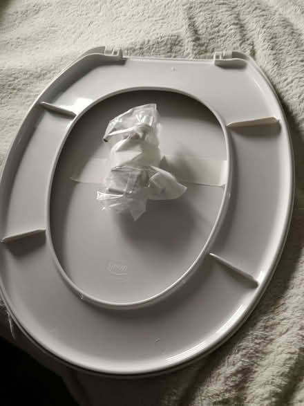 Photo of free toilet seat (The Rock TF3) #1