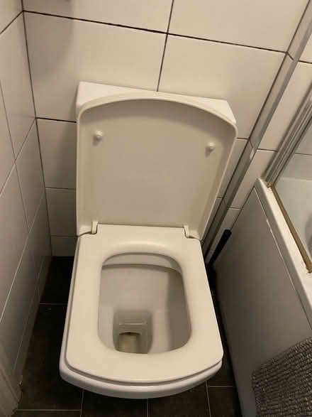 Photo of free Toilet (W12) #2