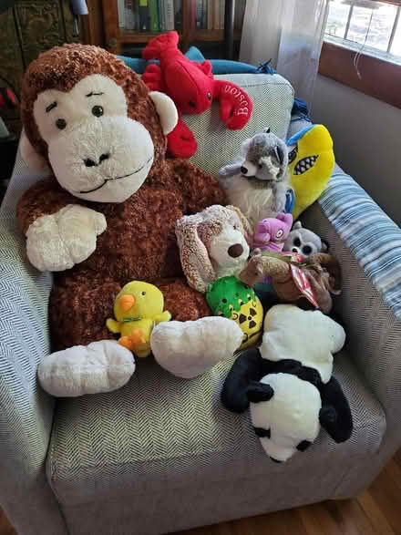 Photo of free Freshly Laundered Stuffies (Oakland) #1