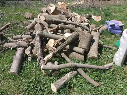 Photo of free Firewood (L4n 1m7) #1