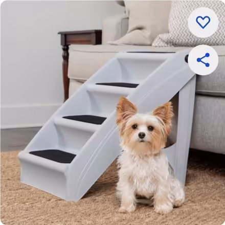 Photo of Dog ramp or stairs (Prospect park south) #2
