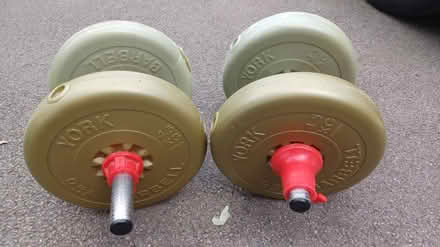 Photo of free Weights (Coventry CV3) #1