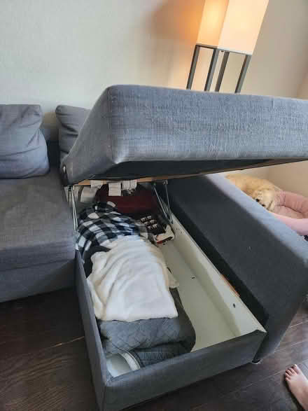 Photo of free IKEA Pull Out Couch (Turtle Creek Village) #3