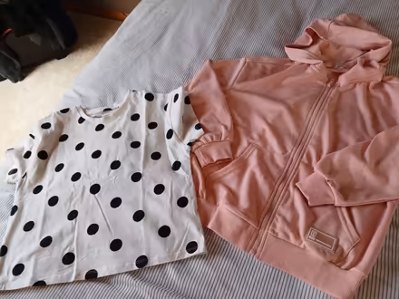 Photo of free Mixed items (Parkhead EH11) #1