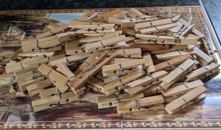 Photo of free 126 Bamboo pegs (The Highlands TN39) #1