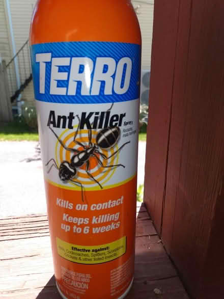 Photo of free Terro ant killer (Cambridge, Porter Square) #1