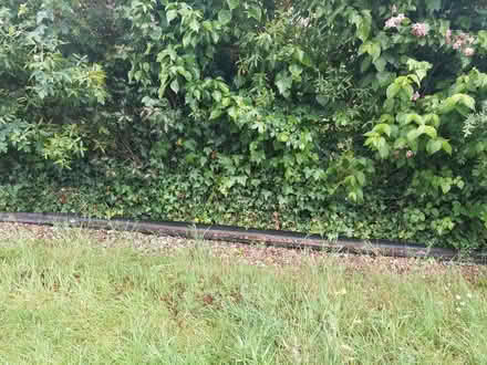 Photo of free Plastic guttering (IP9) #1