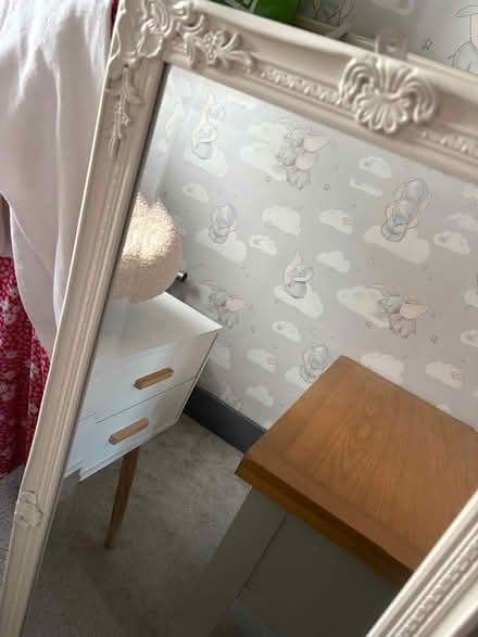 Photo of free Tall mirror (Tw13) #2