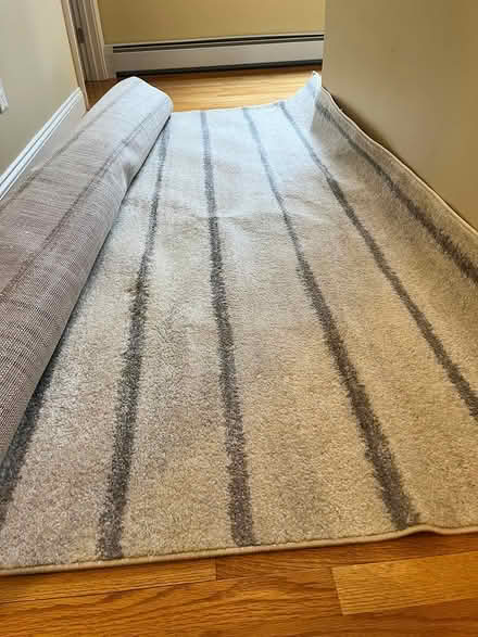 Photo of free Area Rug (Winchester) #1