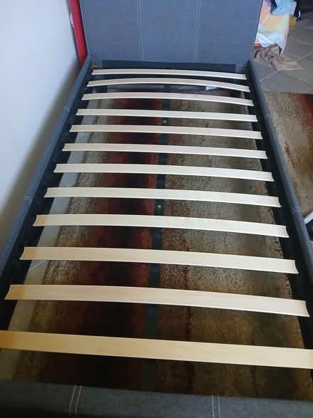 Photo of free Single bed (East Alliston) #3