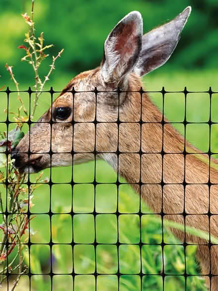 Photo of Orange Tarp & Deer fence-19713 (Newark 19713) #1