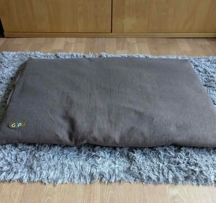 Photo of free Medium Pet Cushion (Beulah Hill SE19) #1