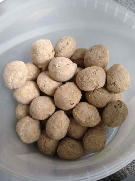 Photo of free Tub of fat balls (Emsworth PO10) #3
