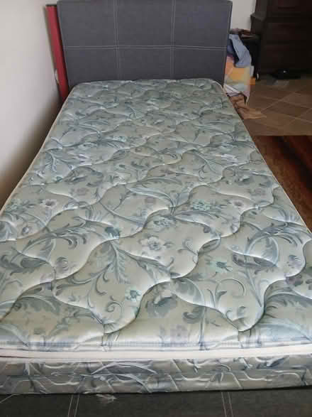 Photo of free Single bed (East Alliston) #2