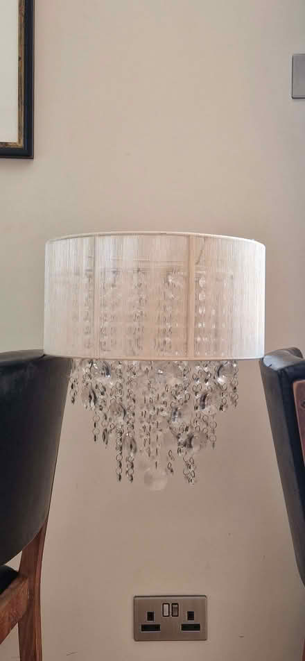Photo of free Lampshade (Denny Bottom TN4) #3