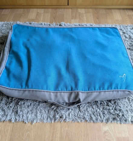 Photo of free Pet cushion (Beulah Hill SE19) #1