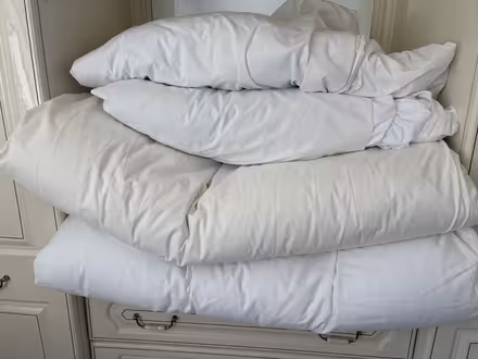 Photo of free Single duvets (Bryn-y-maen, nr Colwyn Bay) #1