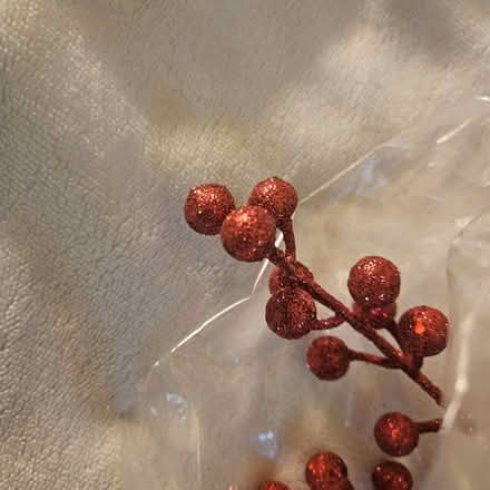 Photo of free Red floral picks (Rosedale) #3