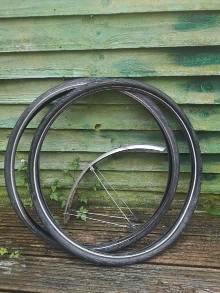 Photo of free Two Schwalbe 700x38c bicycle tyres and a mud guard (New Catton NR3) #1