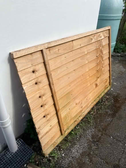 Photo of free Fence panel (Parkstone, Poole. BH14.) #1