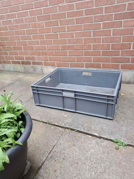 Photo of free Planter/raised bed for plants? (Kimberley NG16) #3