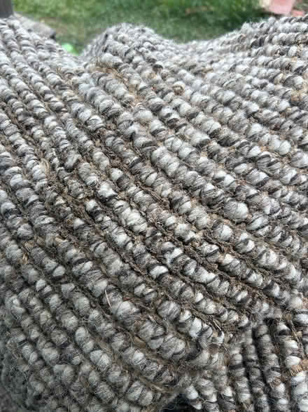 Photo of free West Elm wool rug (read) (Golden, co) #2