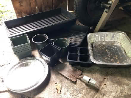 Photo of free Garden/plant items (Huntington MA) #1