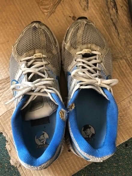 Photo of free Nike trainers (N19 archway) #1