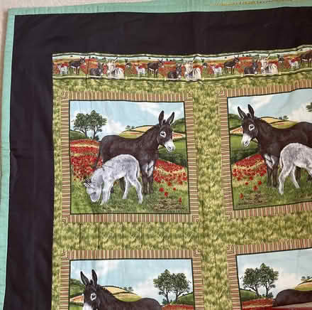 Photo of free Single bed quilt (Downhead Park MK15) #1