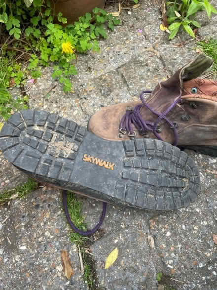 Photo of free Walking boots (Lee green) #1