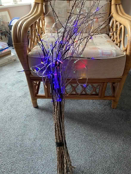 Photo of free decorative lights on twigs (Barry CF63) #1