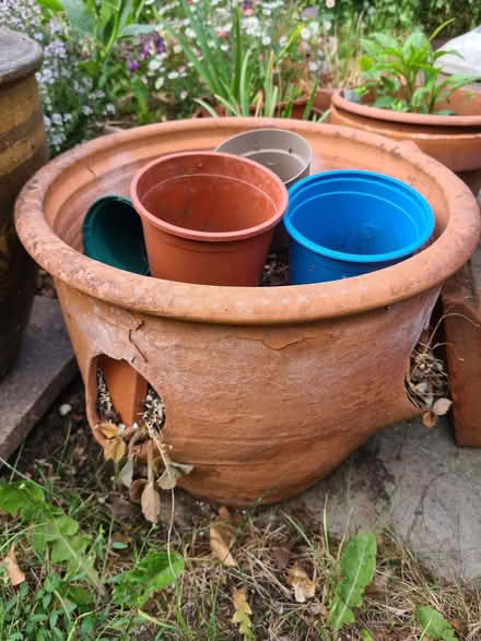 Photo of free Old terracotta strawberry planter (Goldington MK41) #1