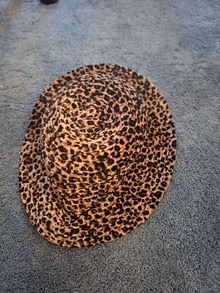 Photo of free Leopard print hat 20874 #1