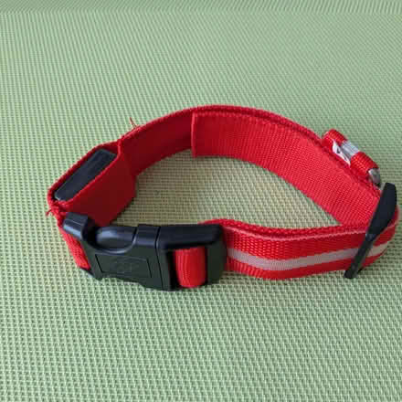 Photo of free Medium Collar With Flashing Light (Beulah Hill SE19) #1