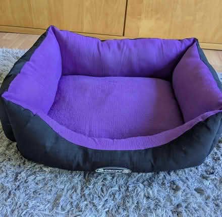Photo of free Pet bed (Beulah Hill SE19) #1