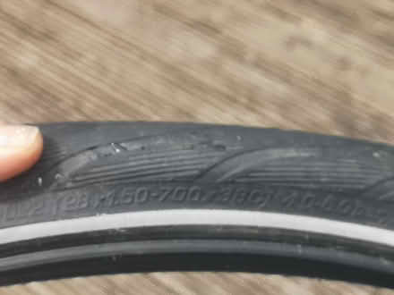 Photo of free Two Schwalbe 700x38c bicycle tyres and a mud guard (New Catton NR3) #4