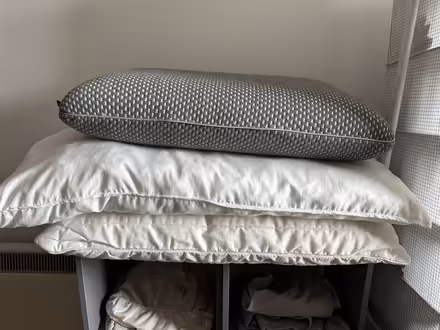 Photo of free 3 pillows (Maryland Station E15) #1