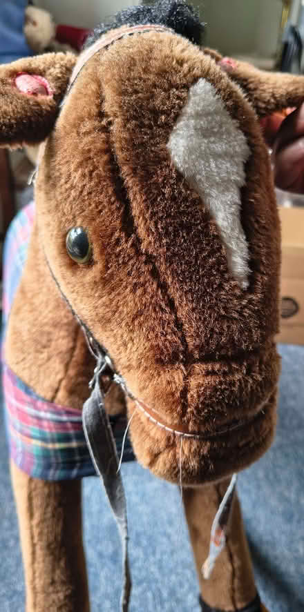Photo of free Rocking Horse, Suitable Ages 4-9, (Bidborough TN3) #1