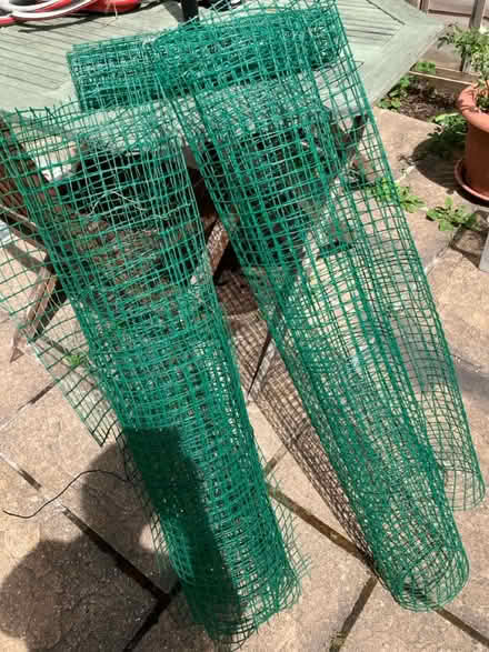 Photo of free Green mesh netting (Parkstone, Poole. BH14.) #1