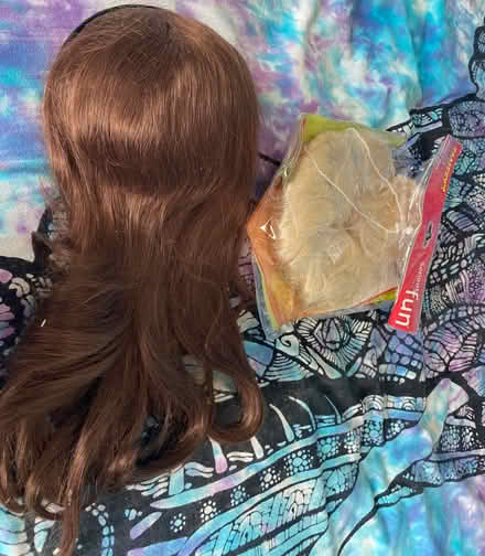 Photo of free Fancy dress wigs (Combe Down) #1