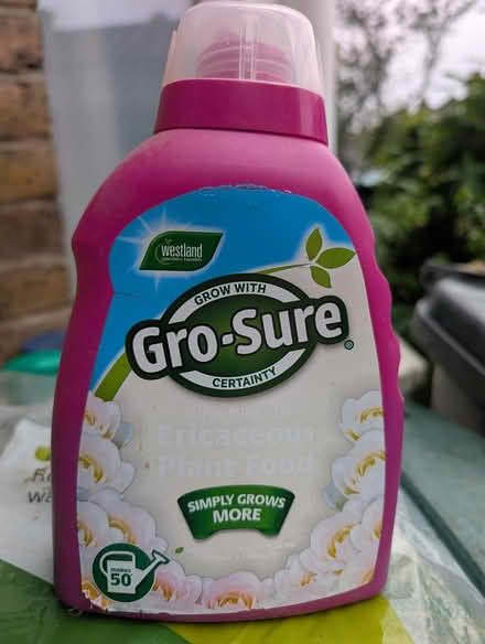 Photo of free Ericaceous liquid fertiliser (Seven Sisters N15) #1