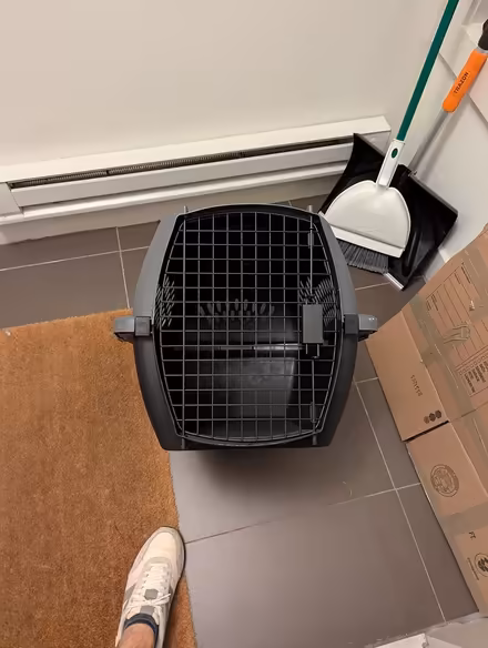 Photo of free Dog Crate (Small) (Spring Hill/Porter Square) #3