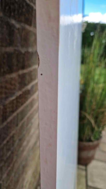 Photo of free Wickes White Furniture Panels (belper DE56) #3