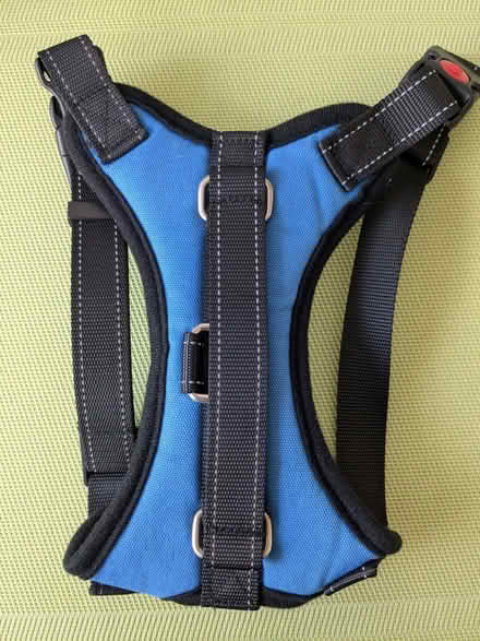 Photo of free Medium Dog Harness (Beulah Hill SE19) #1