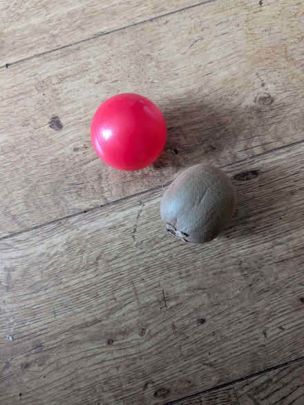 Photo of free Plastic balls (Hove Green BN3) #2
