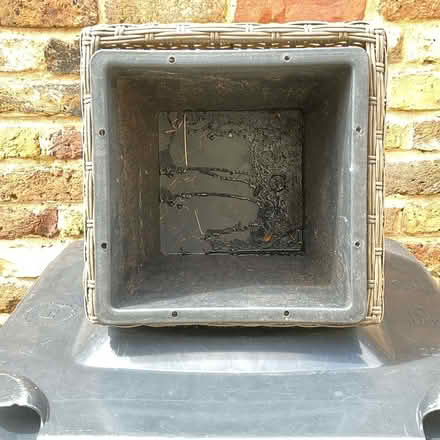 Photo of free Garden basket for bulbs? (Beaconsfield HP9) #2