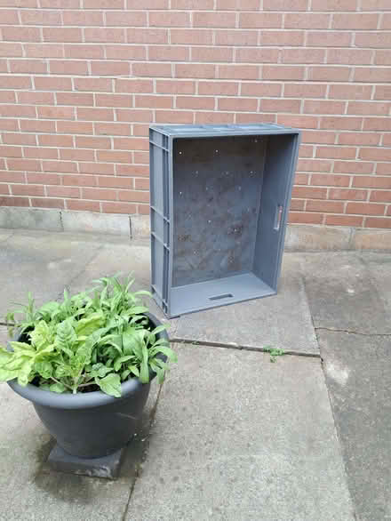 Photo of free Planter/raised bed for plants? (Kimberley NG16) #1